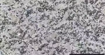 肇庆 芙蓉白（芝麻白大花）火烧面
