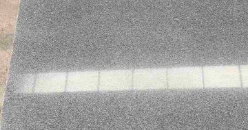 肇庆 芝麻灰光面