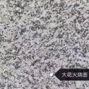 肇庆 芙蓉白（芝麻白大花）火烧面