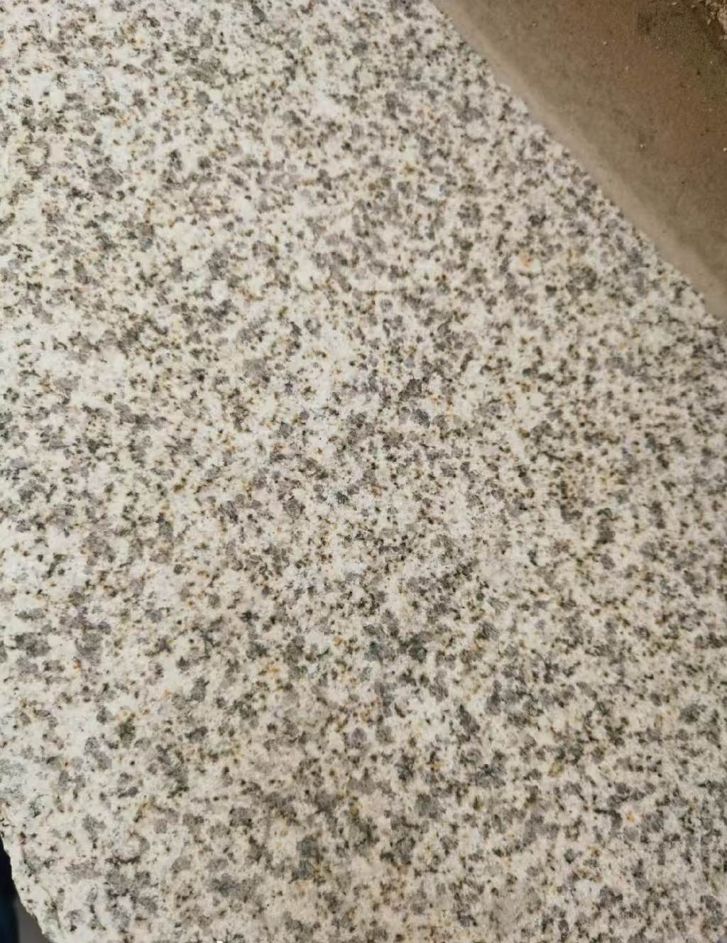 肇庆 黄金麻中黄光面