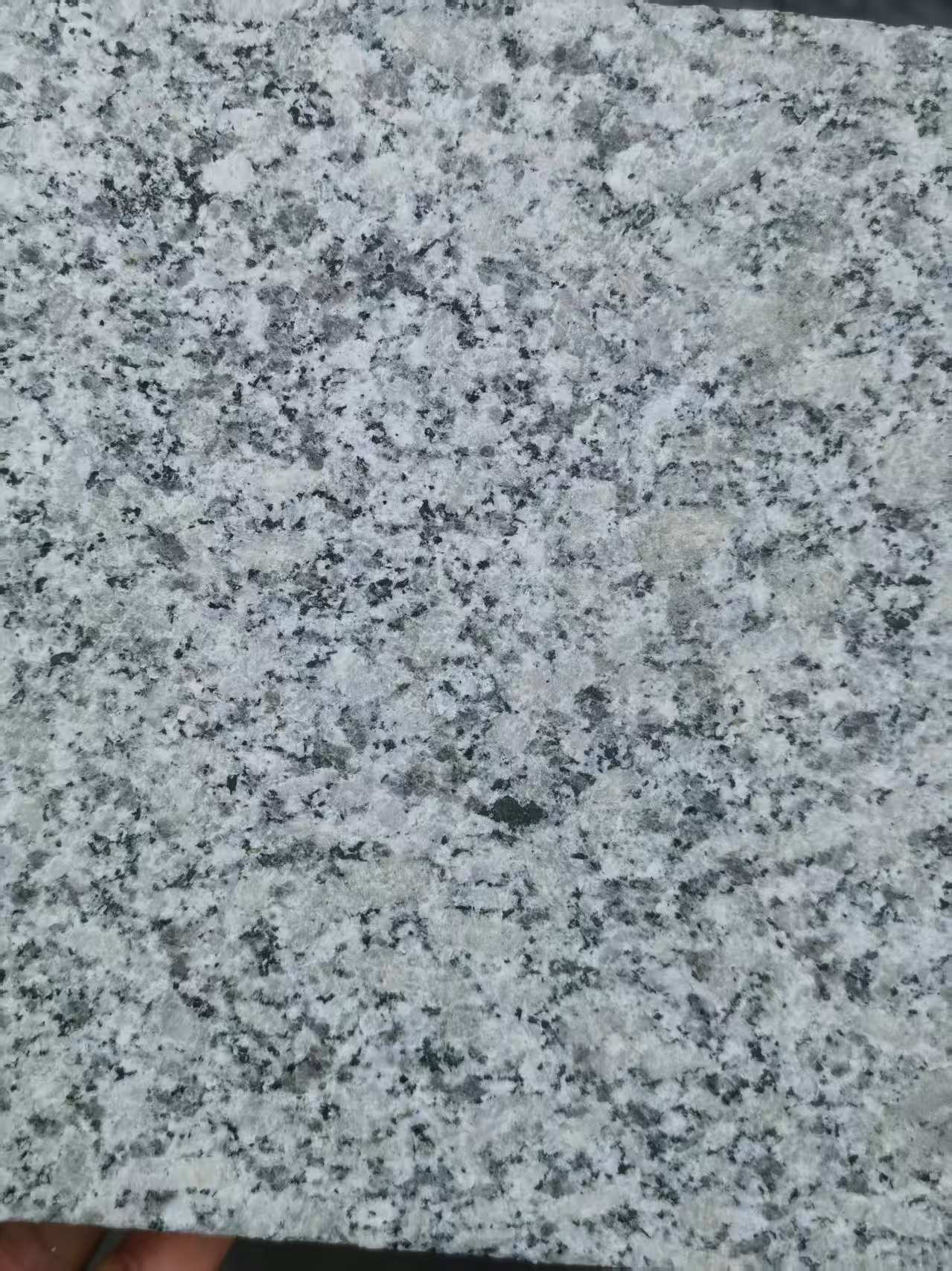 肇庆 芙蓉白火烧面