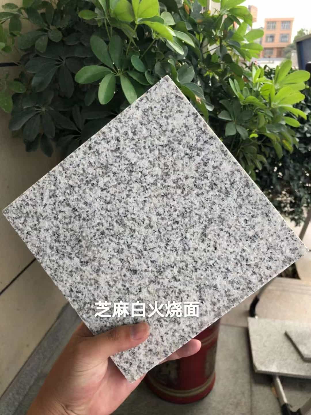 肇庆芝麻白火烧面地铺