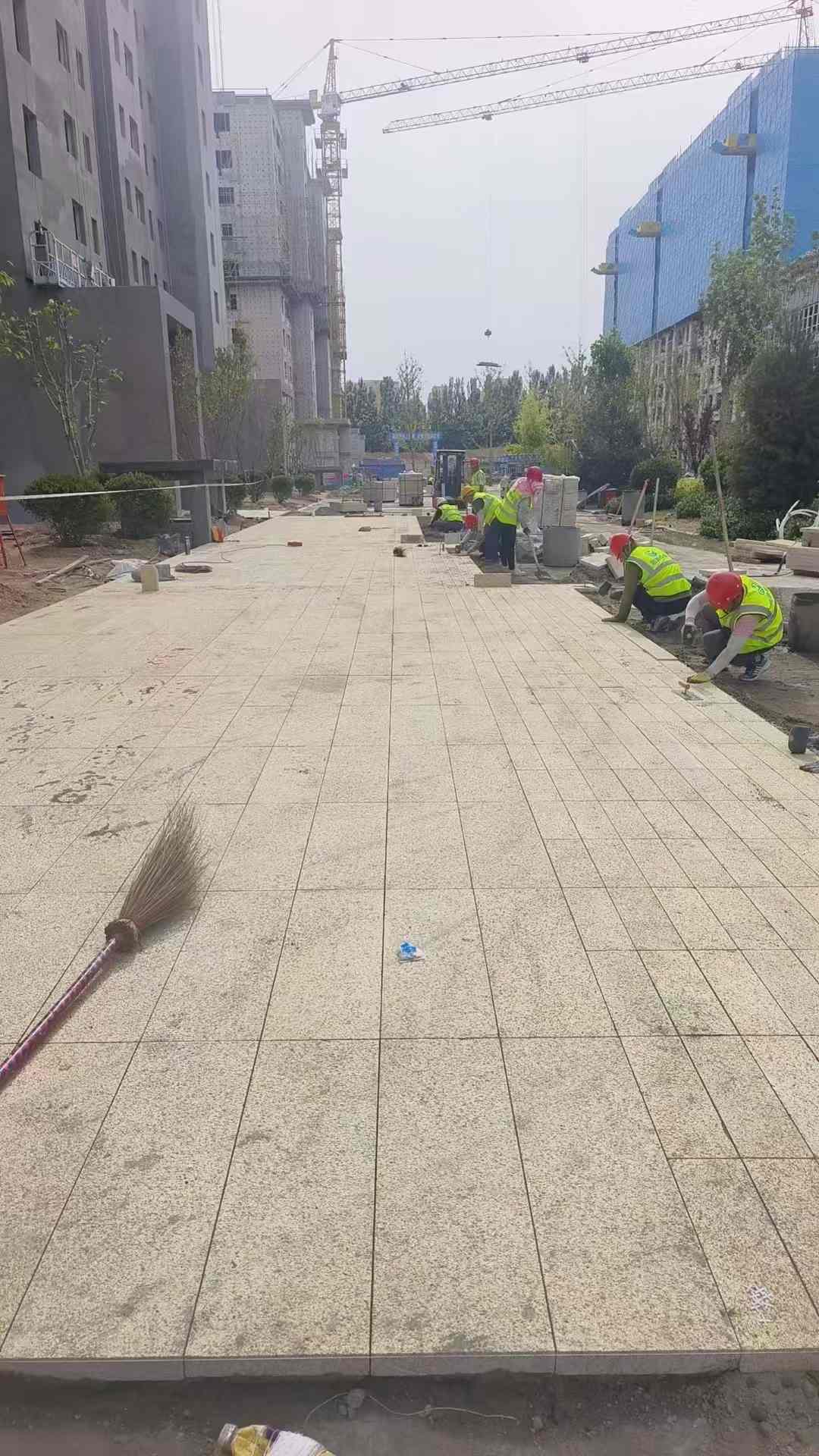 肇庆黄金麻荔枝面地铺案例